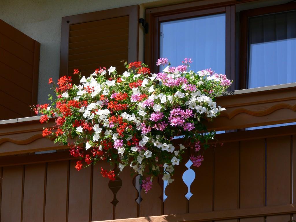Ferienwohnung Gästehaus Sapetschnig Faak am See Exterior foto